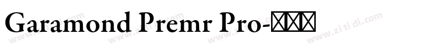 Garamond Premr Pro字体转换